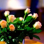 Tynset Hotel 4*