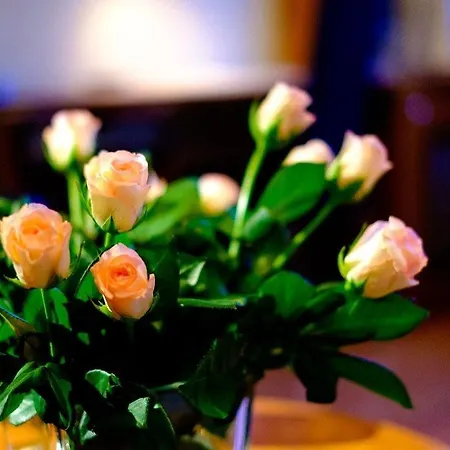Tynset Hotel 4*